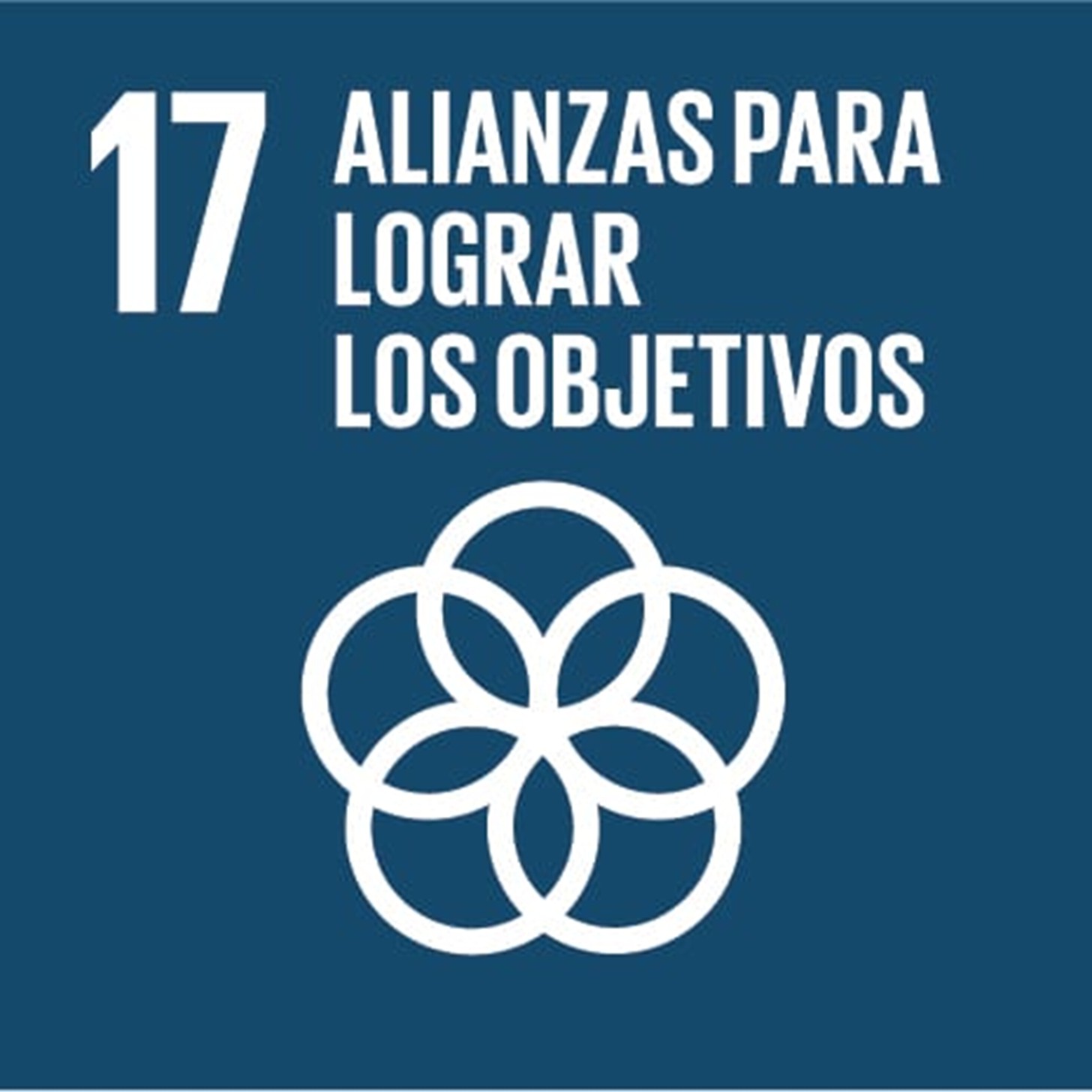 ODS 17: ALIANZAS PARA LOGRAR LOS OBJETIVOS
